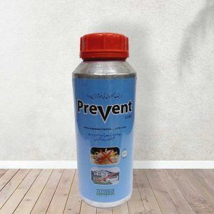 Prevent Termite