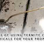 Benefits of Using Termite Control Chemicals for Your Property