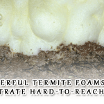 Powerful Termite Foams That Penetrate Hard-to-Reach Areas1